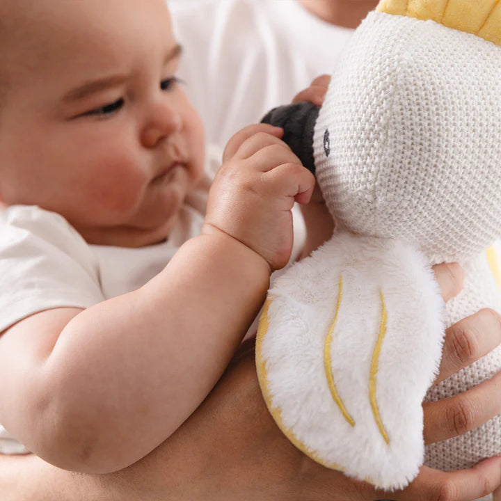 Knitted Toy - Colin the Cockatoo