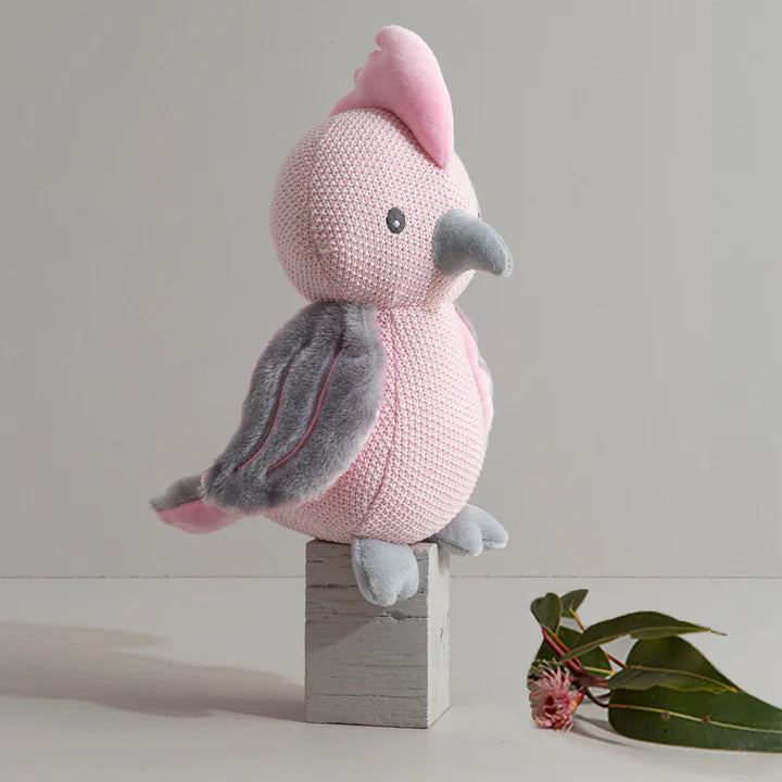 Knitted Toy - Gary the Galah