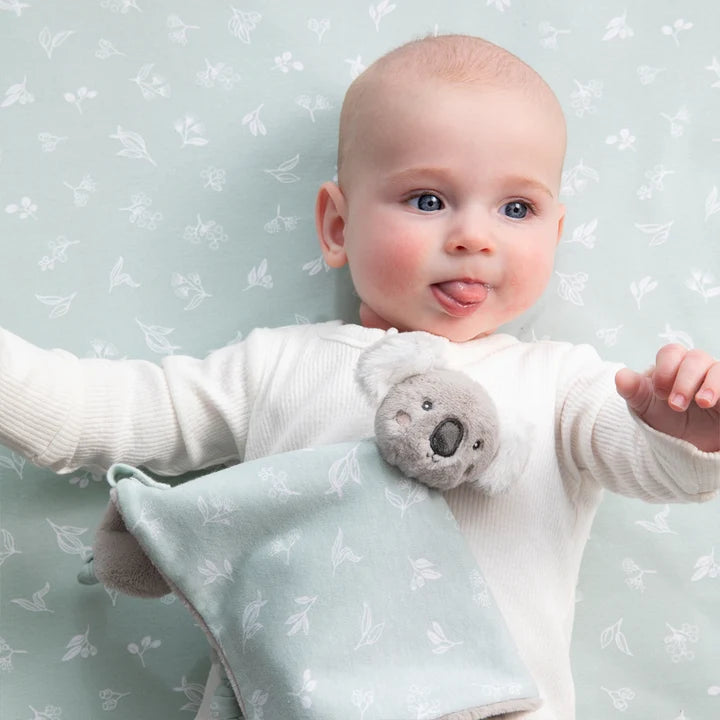 Security Blanket - Koala