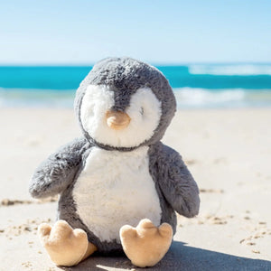 Iggy Penguin Soft Toy (Medium)