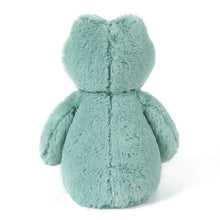 Load image into Gallery viewer, Freddy Frog Soft Toy (Medium)