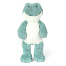 Load image into Gallery viewer, Freddy Frog Soft Toy (Medium)