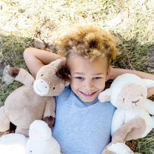 Load image into Gallery viewer, Dusty Horse Soft Toy (Medium)