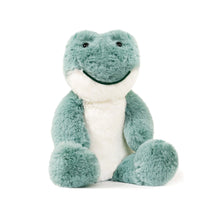 Load image into Gallery viewer, Little Freddy Frog Soft Toy 9.5&quot;/24cm