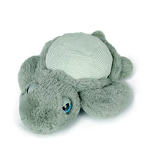 Load image into Gallery viewer, Little Tyler Turtle Soft Toy