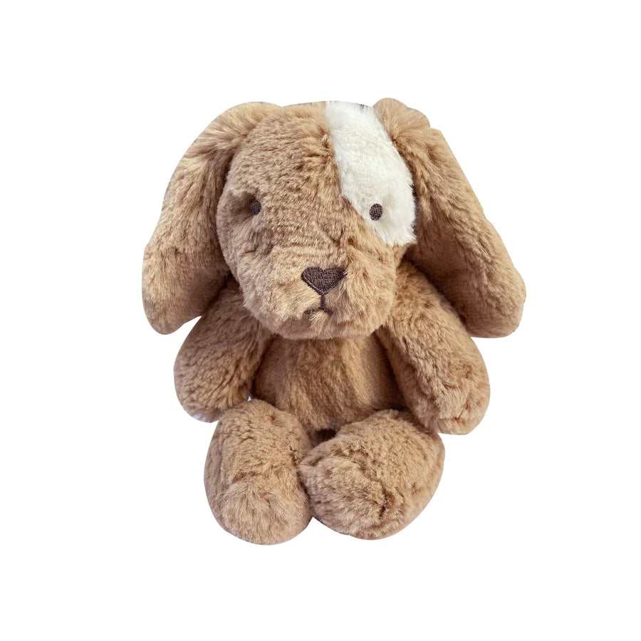 Little Duke Dog Soft Toy