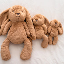 Load image into Gallery viewer, Little Bailey Bunny Soft Toy
