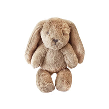Load image into Gallery viewer, Little Bailey Bunny Soft Toy