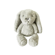 Load image into Gallery viewer, Little Ziggy Bunny Soft Toy